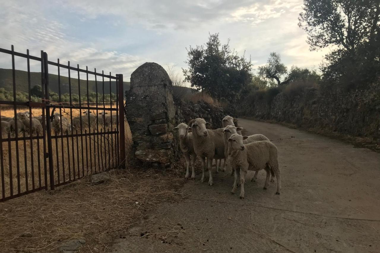 Los Naranjos Eco Home Apartamentos Rurales Casas de Millan Eksteriør billede